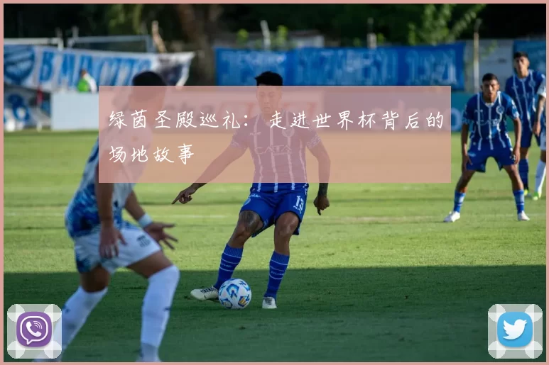 绿茵圣殿巡礼:走进世界杯背后的场地故事
