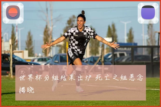 世界杯分组结果出炉 死亡之组悬念揭晓