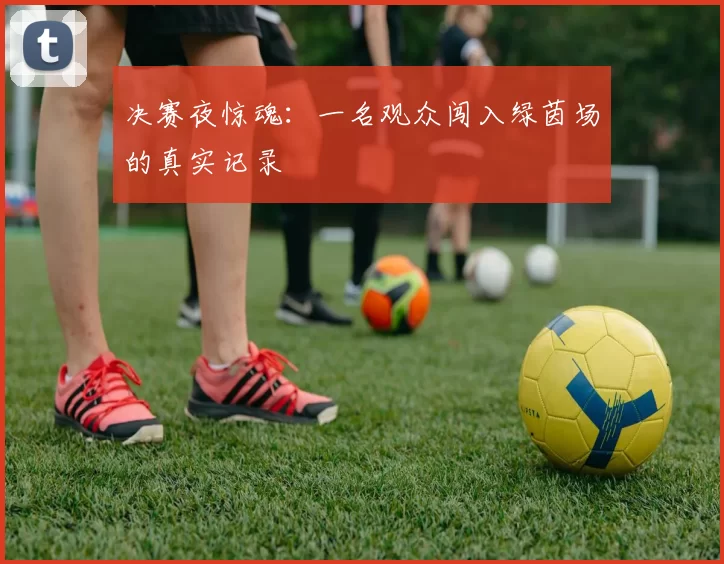 决赛夜惊魂：一名观众闯入绿茵场的真实记录