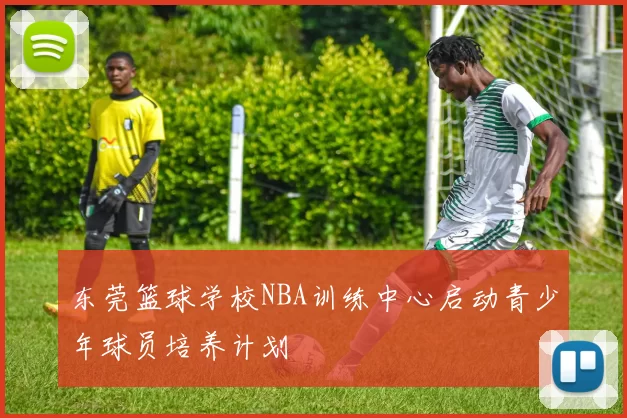 东莞篮球学校NBA训练中心启动青少年球员培养计划