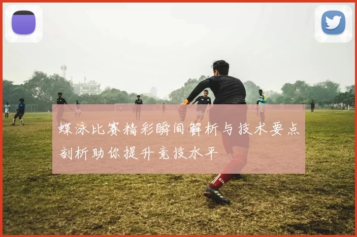 蝶泳比赛精彩瞬间解析与技术要点剖析助你提升竞技水平