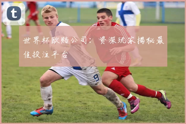 世界杯欧赔公司：资深玩家揭秘最佳投注平台