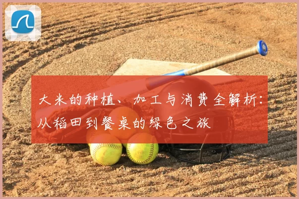 大米的种植、加工与消费全解析：从稻田到餐桌的绿色之旅