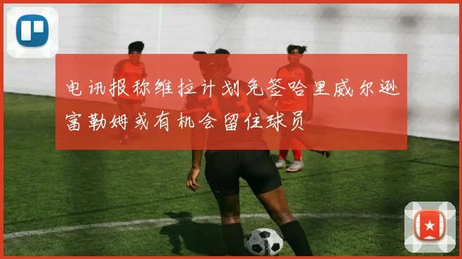 电讯报称维拉计划免签哈里威尔逊富勒姆或有机会留住球员