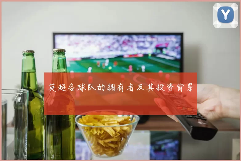 英超各球队的拥有者及其投资背景