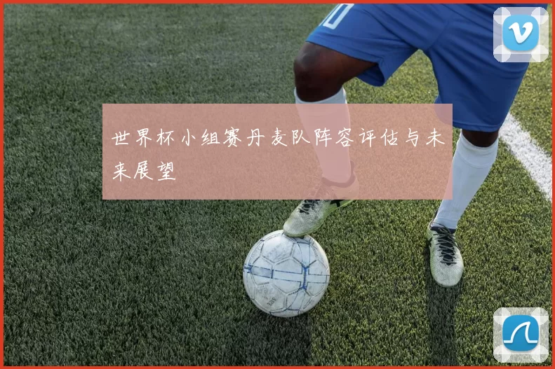 世界杯小组赛丹麦队阵容评估与未来展望