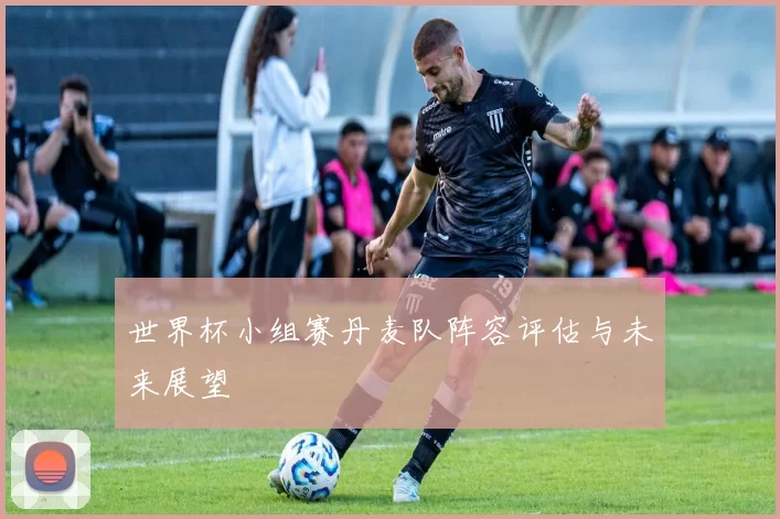 世界杯小组赛丹麦队阵容评估与未来展望