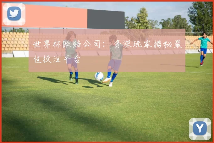 世界杯欧赔公司：资深玩家揭秘最佳投注平台