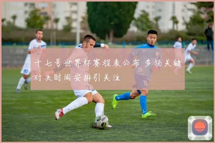 十七号世界杯赛程表公布 多场关键对决时间安排引关注
