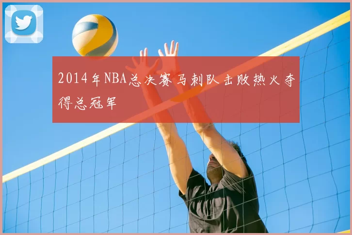 2014年NBA总决赛马刺队击败热火夺得总冠军