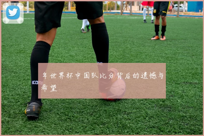 年世界杯中国队比分背后的遗憾与希望