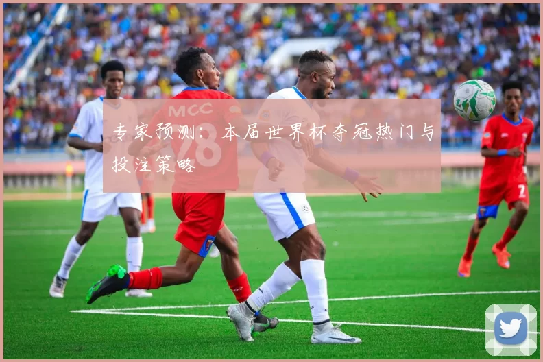 专家预测：本届世界杯夺冠热门与投注策略