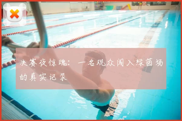 决赛夜惊魂：一名观众闯入绿茵场的真实记录