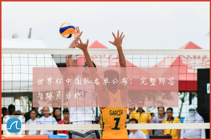 世界杯中国队名单公布：完整阵容与球员分析