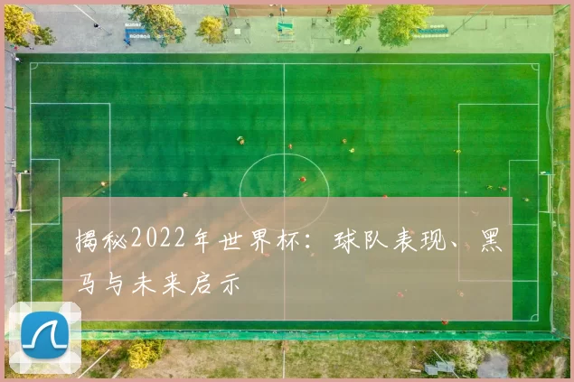 揭秘2022年世界杯：球队表现、黑马与未来启示