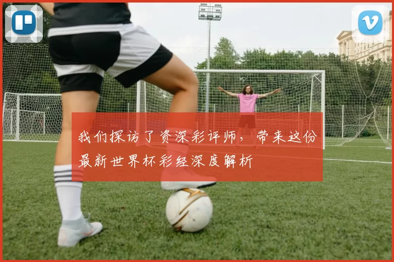我们探访了资深彩评师,带来这份最新世界杯彩经深度解析