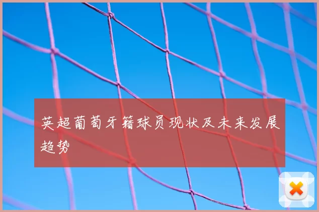 英超葡萄牙籍球员现状及未来发展趋势