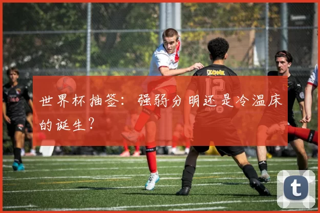 世界杯抽签：强弱分明还是冷温床的诞生？