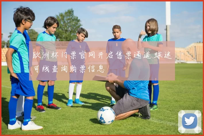 欧洲杯门票官网开启售票通道 球迷可线查询购票信息