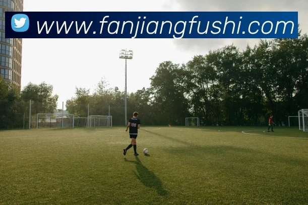 爱游戏官网发展历程